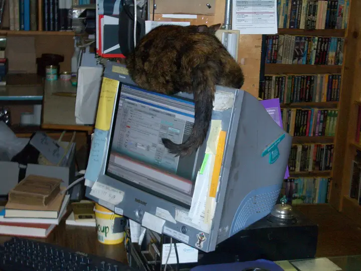 A cat resting on top of a CRT computer monitor in a bookshop