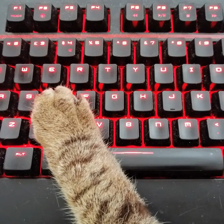A cat lying across a keyboard as if to stop work